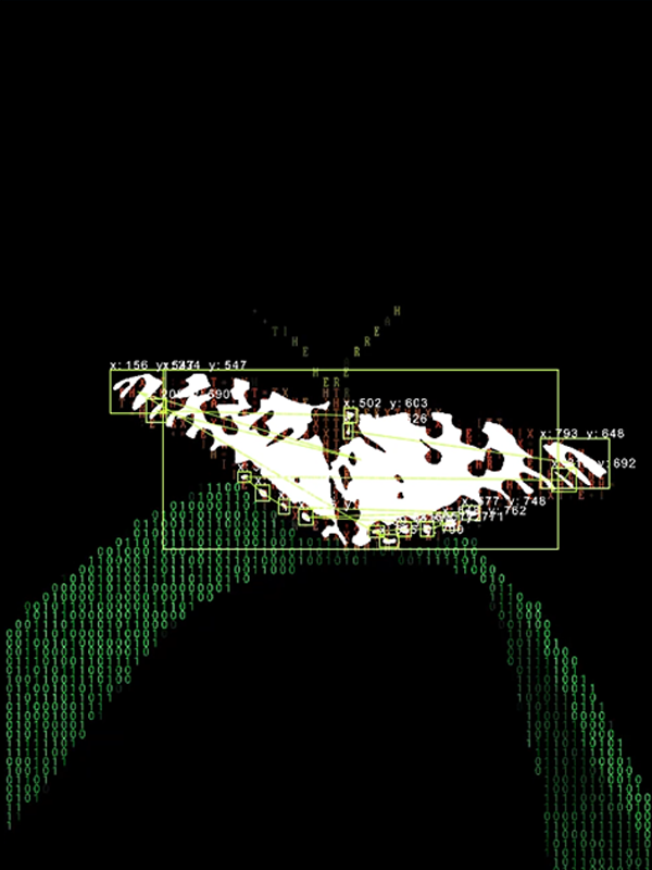 Butterfly glitch edit